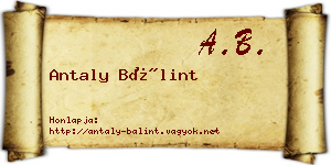 Antaly Bálint névjegykártya
